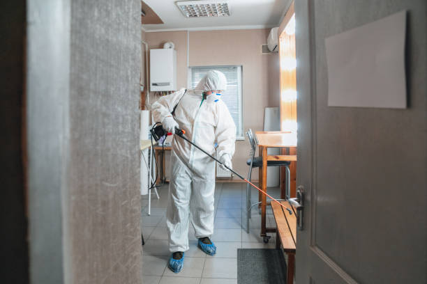 Best Mold-Related Health Consultation  in West Mountain, UT