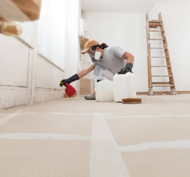 Best Mold Damage Restoration  in West Mountain, UT